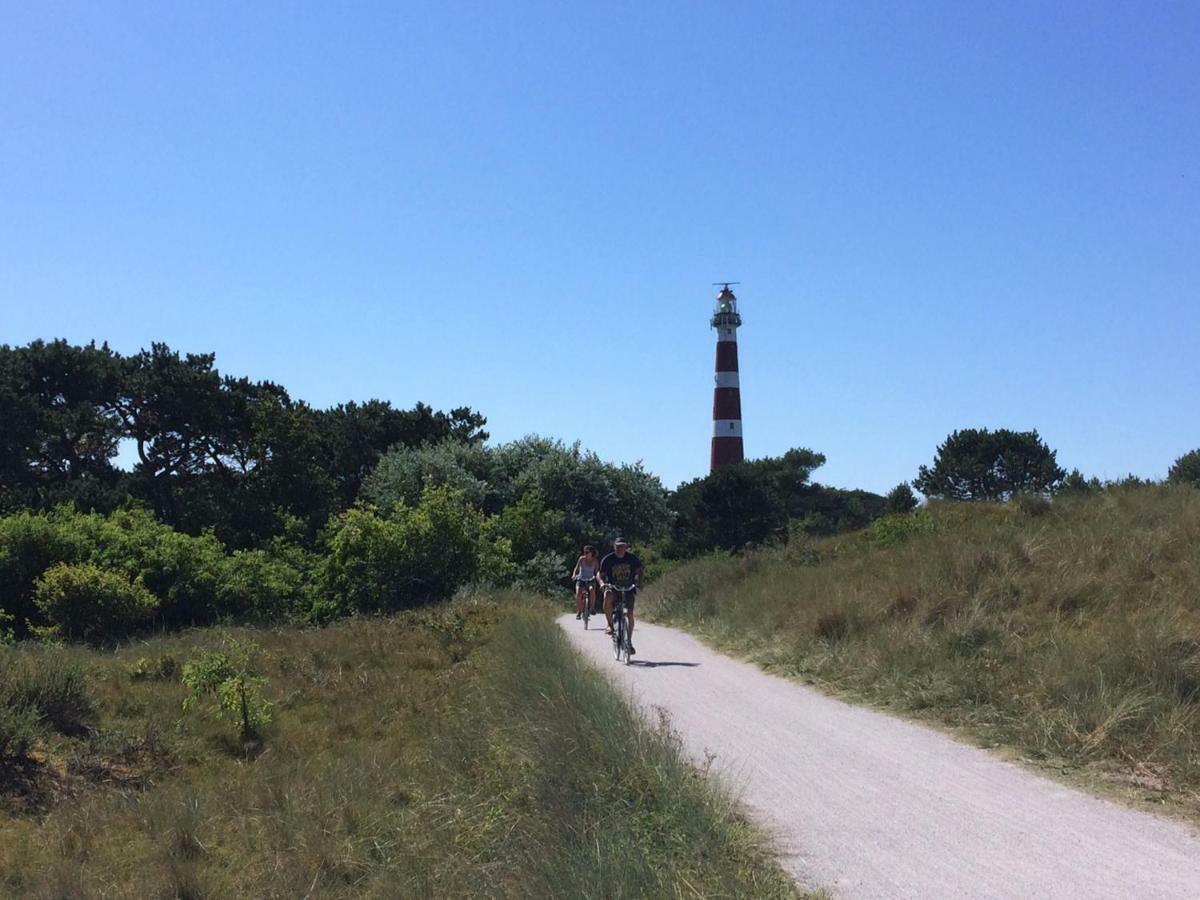 Zeebries In De Kaap 4 P *